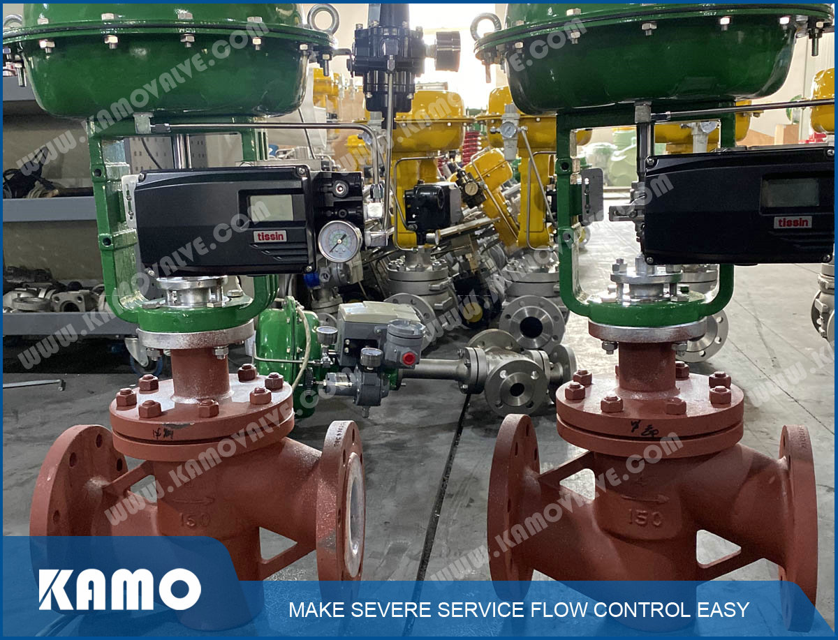T4 Acid Resistant Control Valve