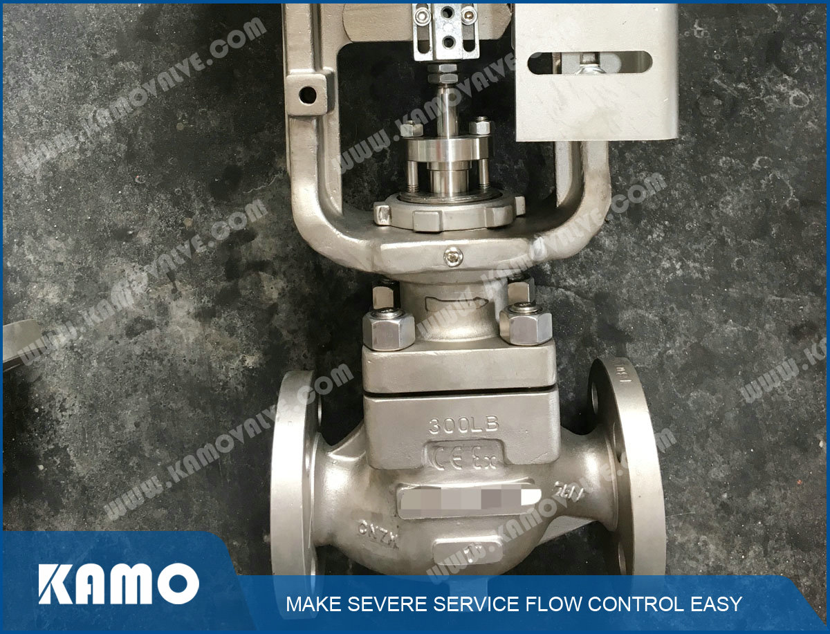 CN7M Control Valve