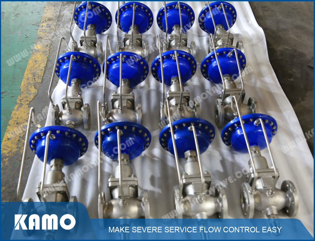 L01 Self-Operated Flow Regulator