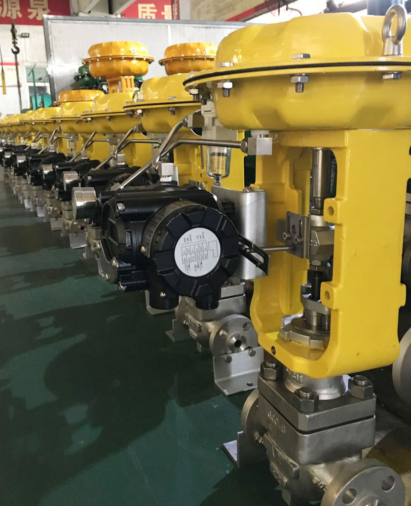 Small Flow Control Valve Supply to Singapore